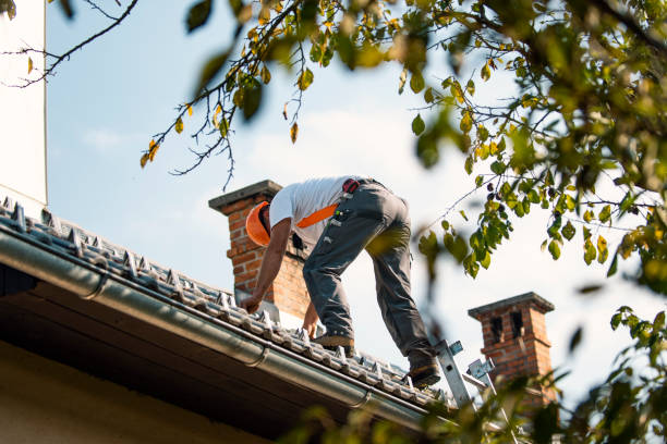 Best Storm Damage Roof Repair  in Highland, IN